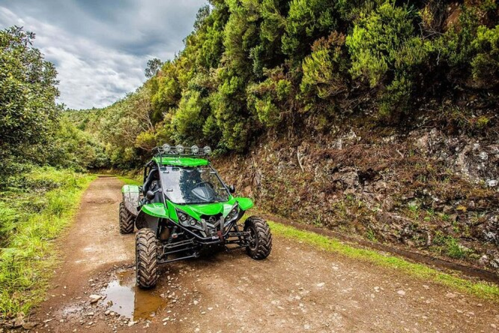 Private Buggy ATV Adventure with Picnic