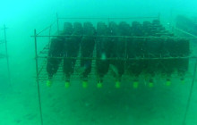 Adriatic Vision Private Experiences3