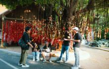 Discova Day Tours and Activities1