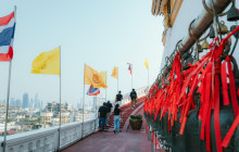 Discova Day Tours and Activities6