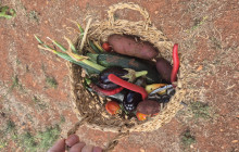 Adriatic Vision Private Experiences8