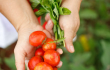 Adriatic Vision Private Experiences11