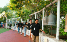 Discova Day Tours and Activities4