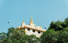 Discova Day Tours and Activities7