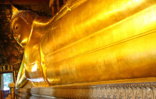 Discova Day Tours and Activities16