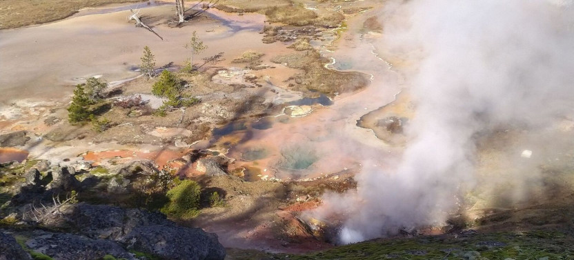Private Yellowstone National Park Upper Loop Tour