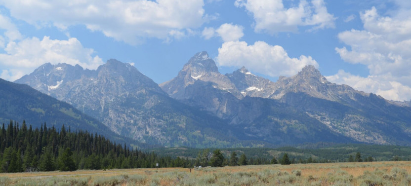 Private Grand Teton National Park Sunrise Scenic Wildlife Tour