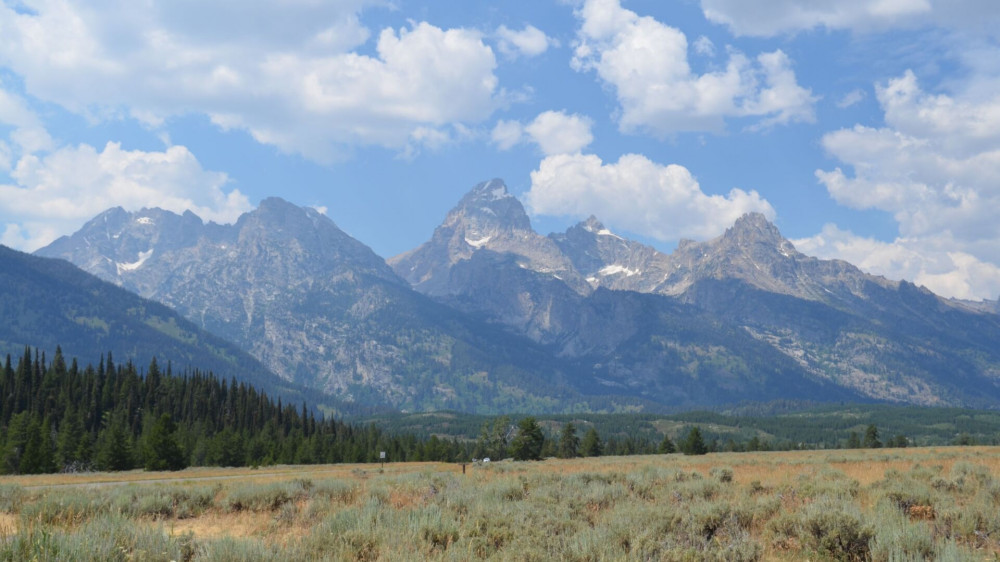 Private Grand Teton National Park Sunrise Scenic Wildlife Tour