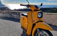 Trolib Cassis1
