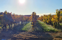 Trolib Cassis5