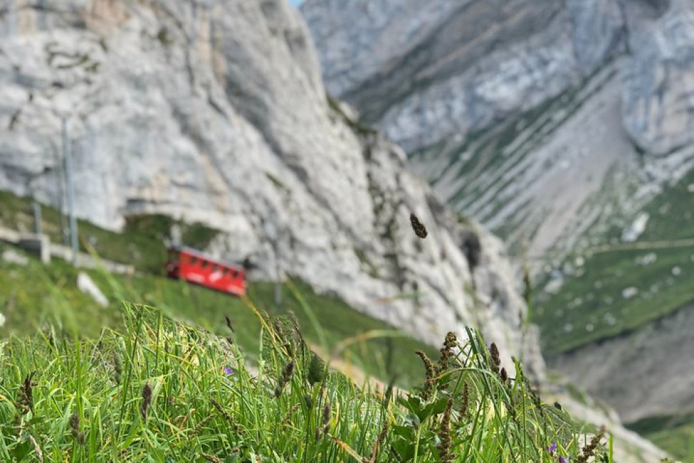 Mt. Pilatus & Lake Lucerne Cruise Small Group Tour | From Basel