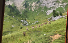 Tours of Switzerland5
