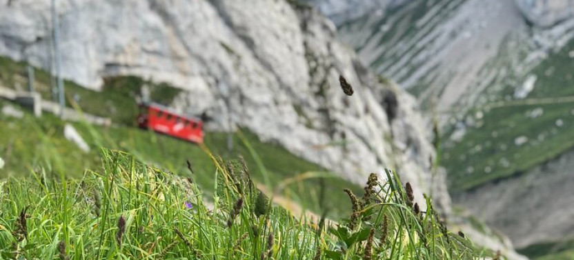 Mt. Pilatus Peak & Lake Lucerne Cruise Small Group | From Lucerne