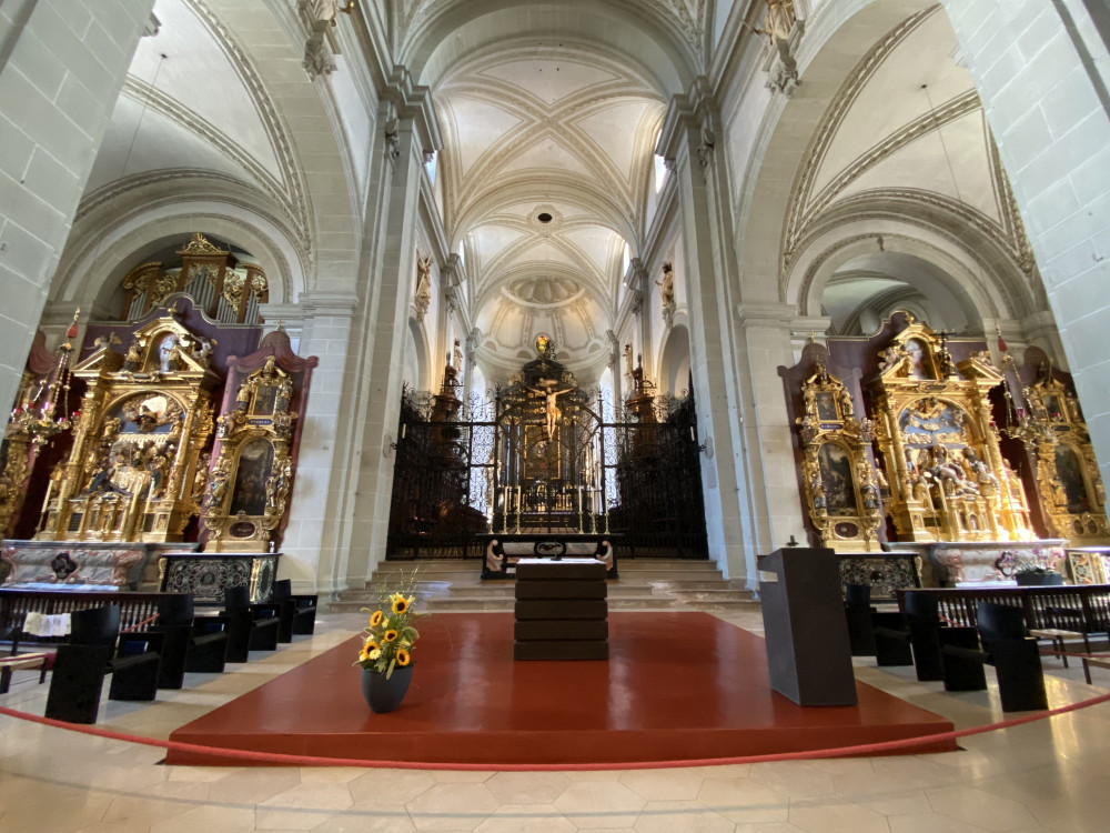 Basel Small Group Tour - Glacier Express, Swiss Alps, and Lucerne
