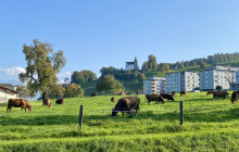 Tours of Switzerland3