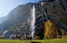Tours of Switzerland7