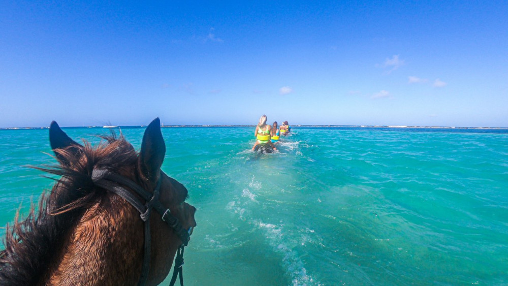 JMSVL Coast to Caves Motorized Ultimate Pass