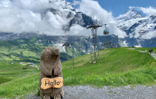 Tours of Switzerland6