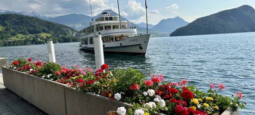 Mt. Rigi and Lake of Lucerne Cruise | From Lucerne