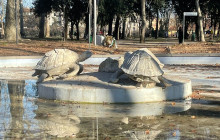 VoiceMap Audio Tours13