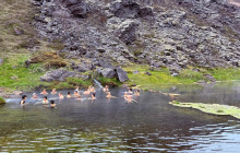 Magic Iceland Travel10