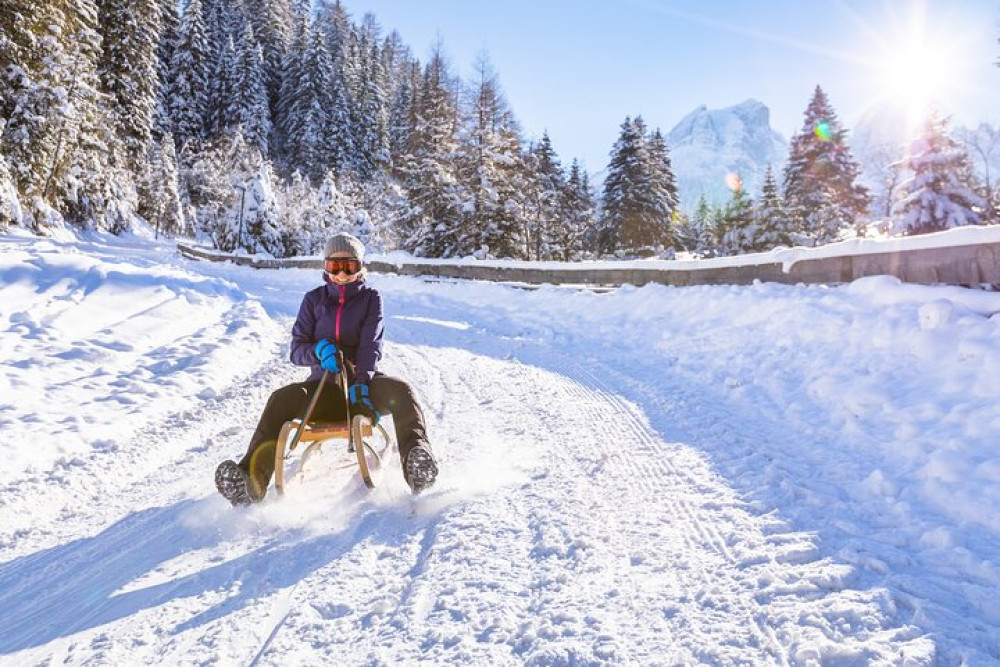 Winter Sledging Adventure Private Tour