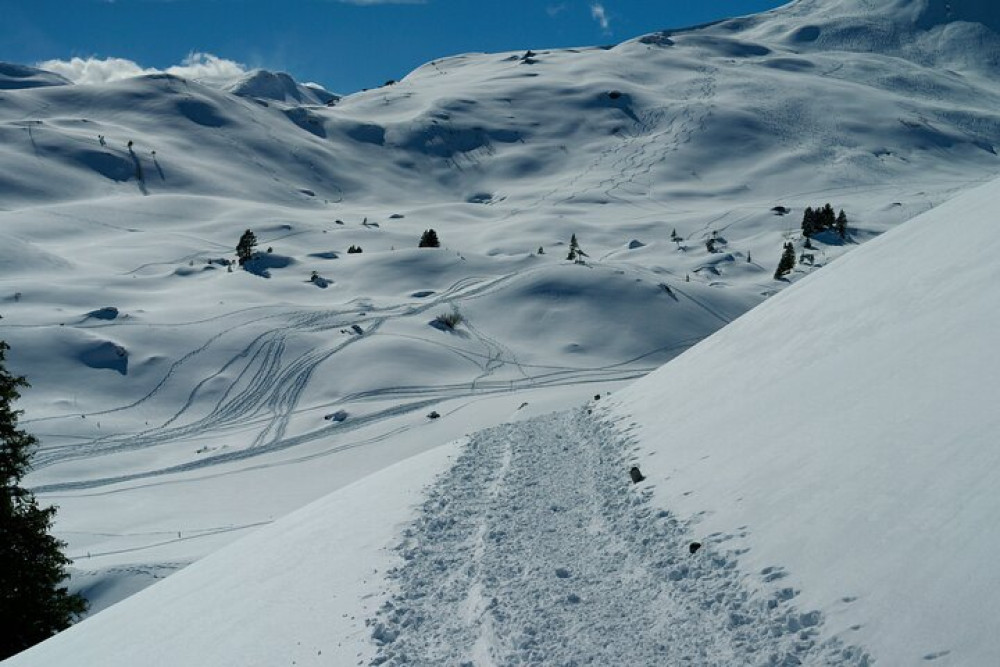 Sledding Ride and Fondue From Zurich Private Tour