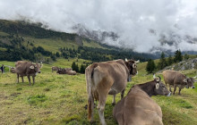 Swiss Epic Tours3