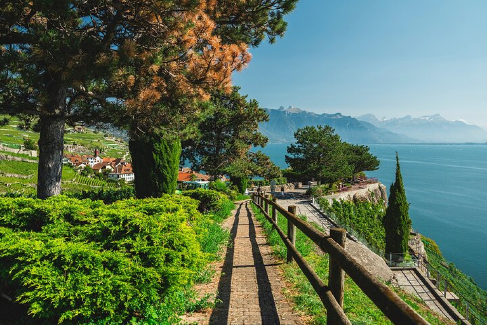 Swiss Riviera Day Trip Private Tour