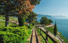 Swiss Epic Tours1