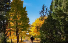 Quebec Aventure Tours4