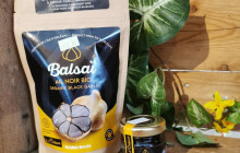 Quebec Aventure Tours11