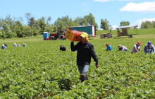 Quebec Aventure Tours12