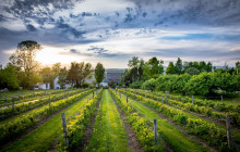 Quebec Aventure Tours13