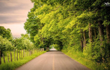 Quebec Aventure Tours7
