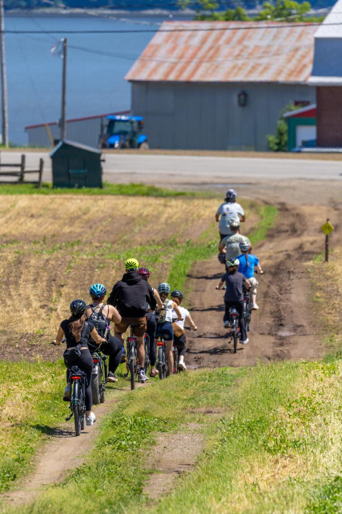 Quebec City: Ebike Rental On Ile D'orleans