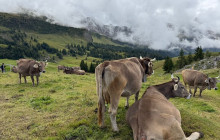 Swiss Epic Tours3