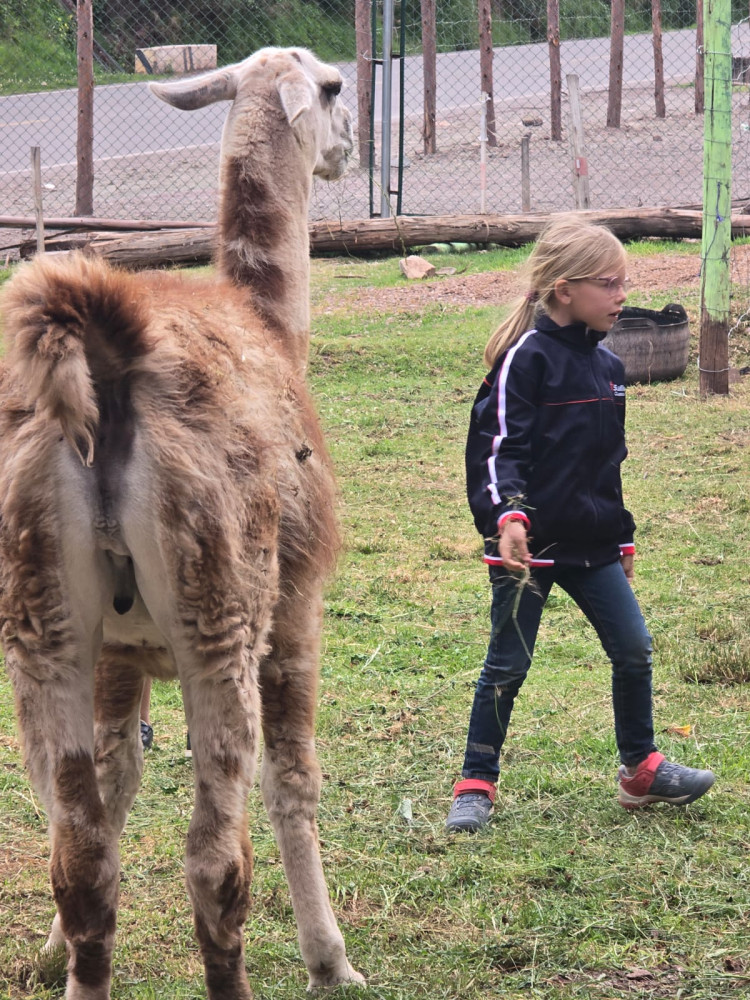 Wild Animal Experiences at Cochahuasi Animal Sanctuary