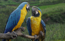 Cochahuasi Animal Sanctuary13
