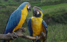 Cochahuasi Animal Sanctuary5