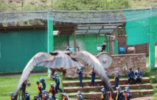 Cochahuasi Animal Sanctuary9