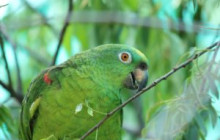 Cochahuasi Animal Sanctuary12