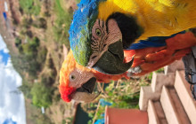 Cochahuasi Animal Sanctuary2