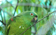 Cochahuasi Animal Sanctuary10