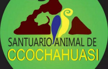 Cochahuasi Animal Sanctuary19