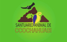 Cochahuasi Animal Sanctuary2