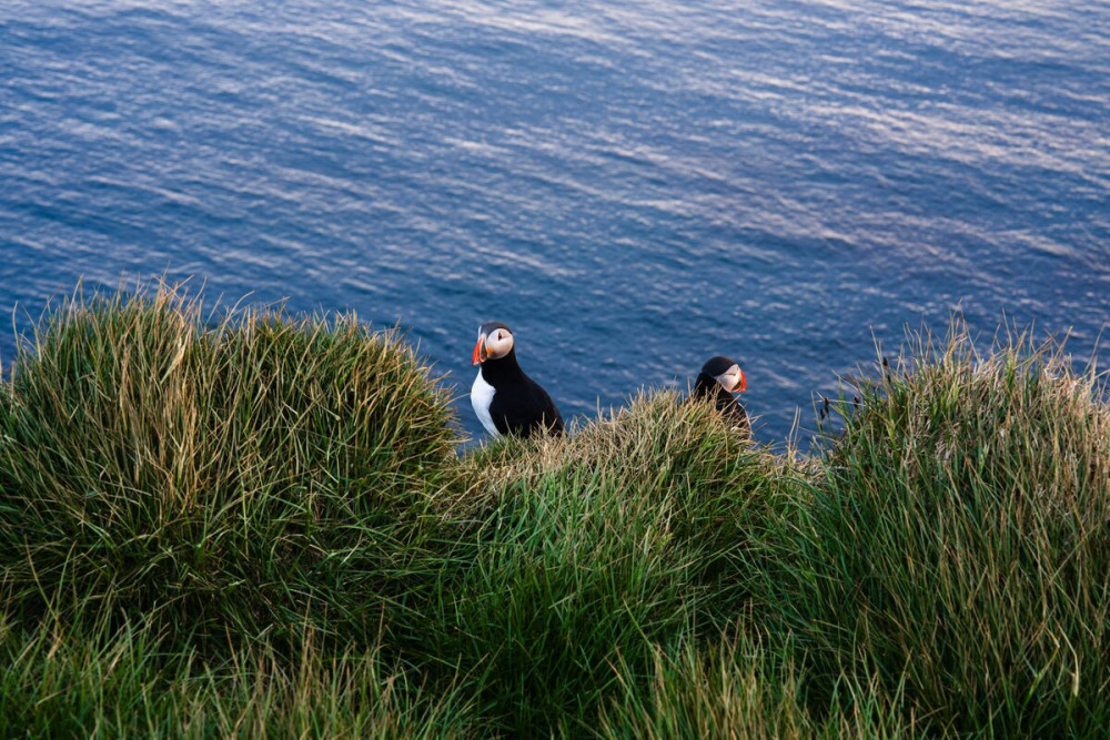 9 Day - Around Iceland & Wild Westfjords