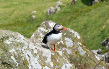 Highland Explorer Tours4