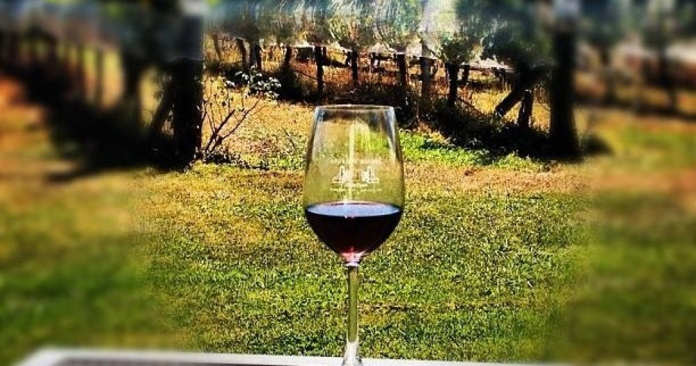 Half-Day Wine Tour from Marlborough