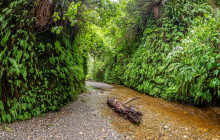 GuideAlong (GyPSy Guide)8